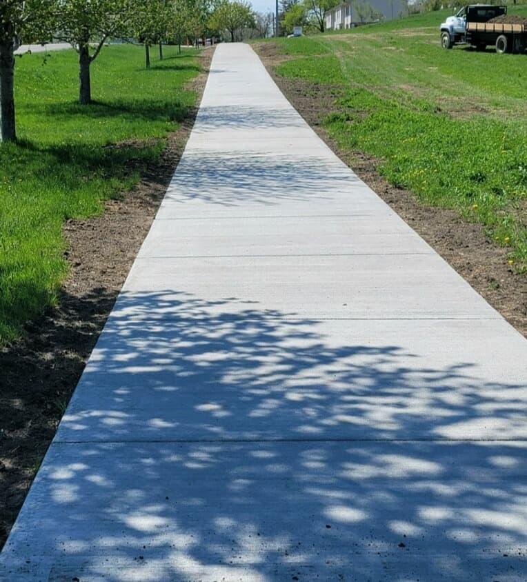 A shaded neighborhood path in its first summer